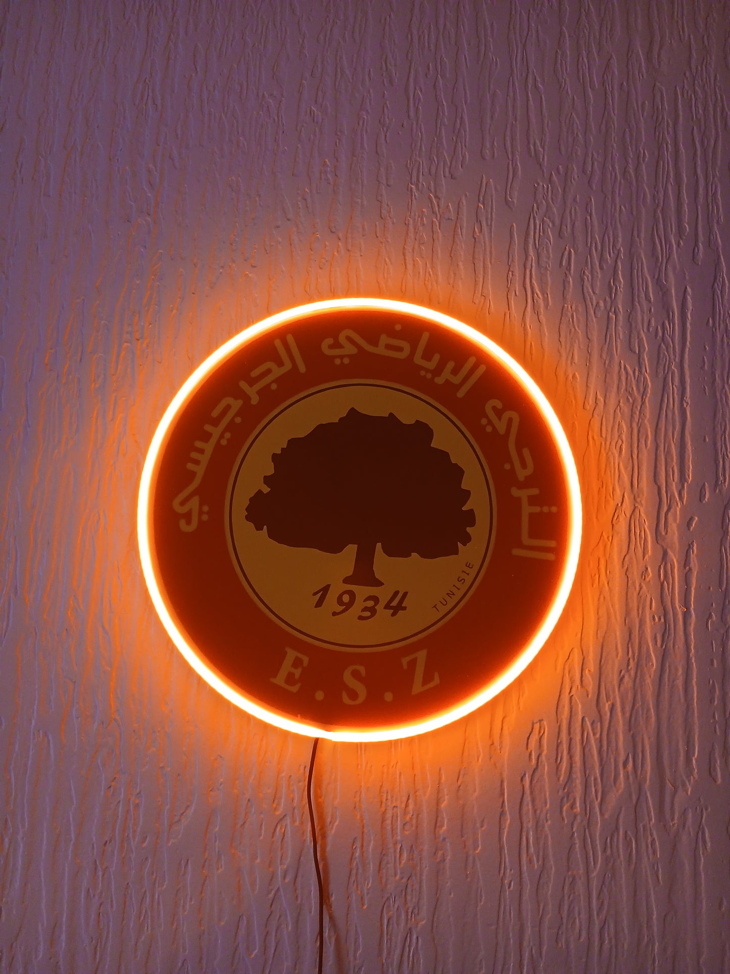 Logo Esperance de Zarzis