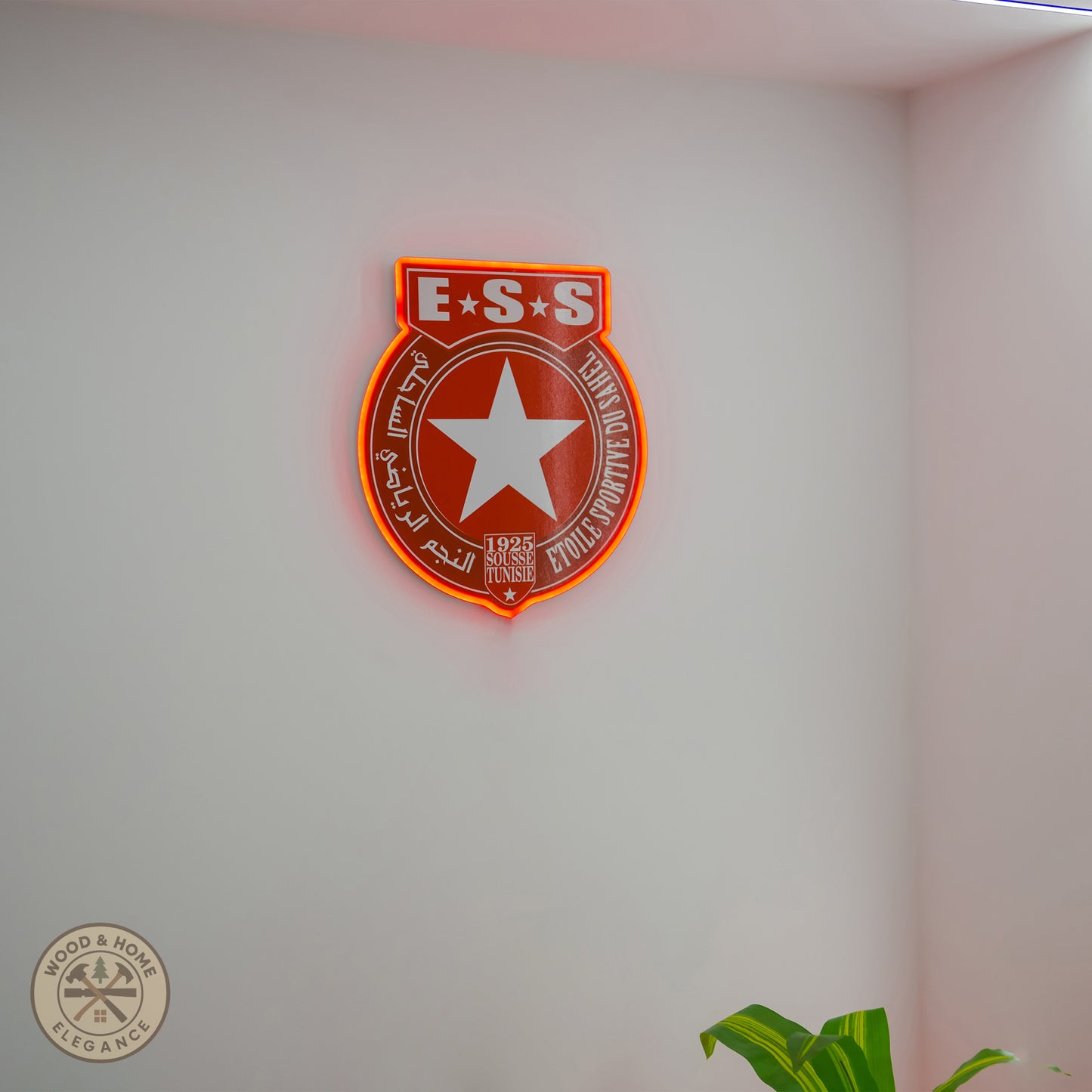 Logo Etoile Du Sahel