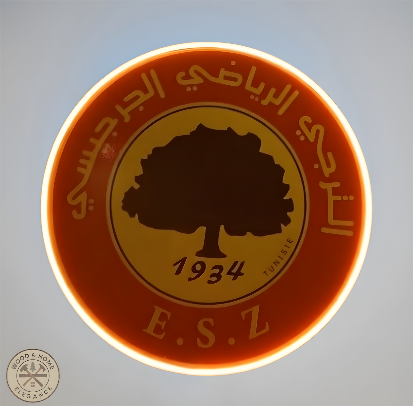 Logo Esperance de Zarzis