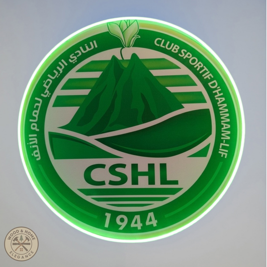 Logo Club Sportive D'Hammam-Lif